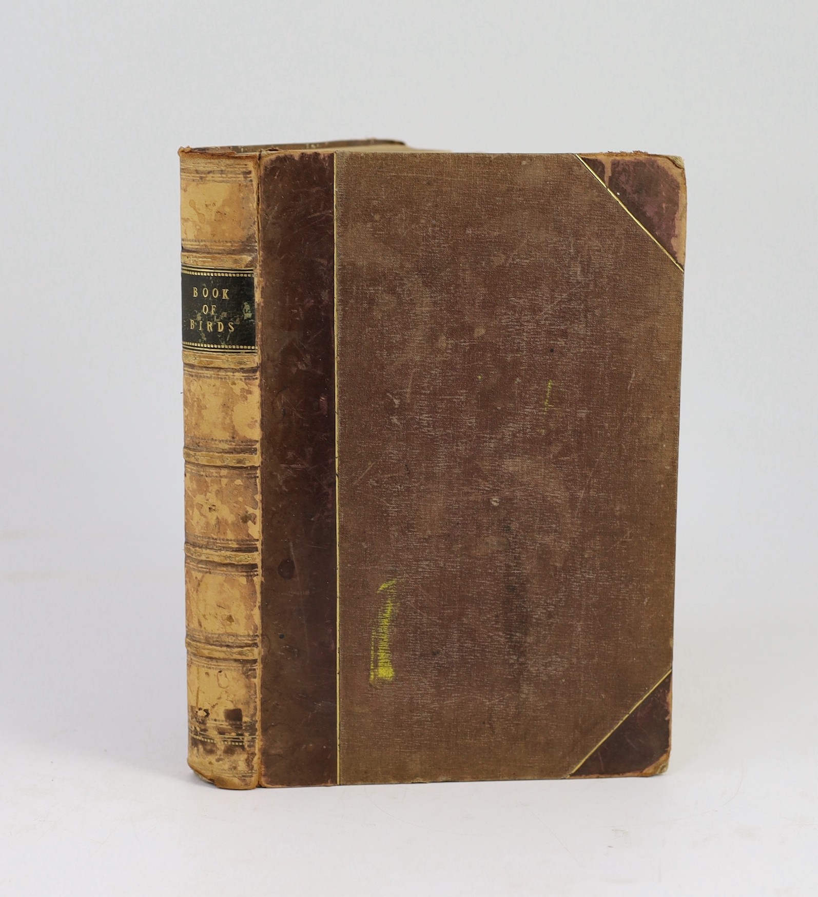 Comte, Achille - The Book of Birds: edited and abridged from the text of Buffon. Translated from the original by Benjamin Clarke. engraved pictorial and printed titles, 38 hand coloured plates (by Victor Adams); contemp.